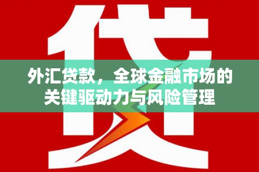 怀化外汇贷款，全球金融市场的关键驱动力与风险管理