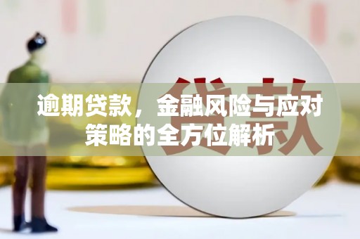 怀化逾期贷款，金融风险与应对策略的全方位解析