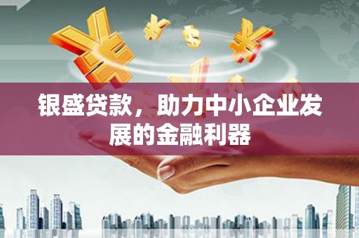 怀化银盛贷款，助力中小企业发展的金融利器