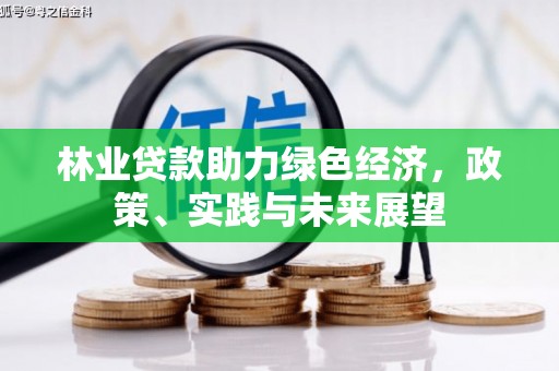 怀化林业贷款助力绿色经济，政策、实践与未来展望