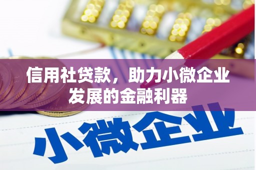 怀化信用社贷款，助力小微企业发展的金融利器