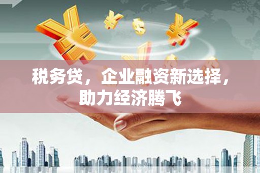 怀化税务贷，企业融资新选择，助力经济腾飞