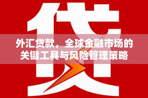 怀化外汇贷款，全球金融市场的关键工具与风险管理策略