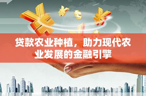 怀化贷款农业种植，助力现代农业发展的金融引擎