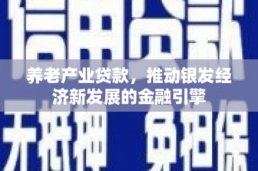 怀化养老产业贷款，推动银发经济新发展的金融引擎