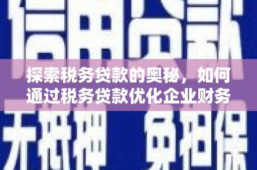 怀化探索税务贷款的奥秘，如何通过税务贷款优化企业财务