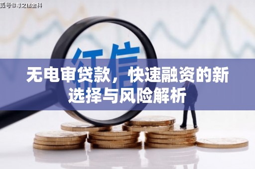 怀化无电审贷款，快速融资的新选择与风险解析