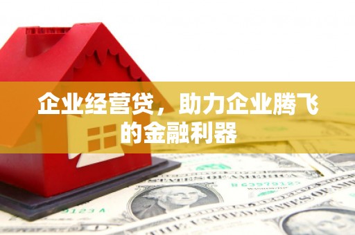 怀化企业经营贷，助力企业腾飞的金融利器