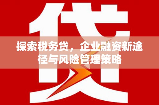 怀化探索税务贷，企业融资新途径与风险管理策略