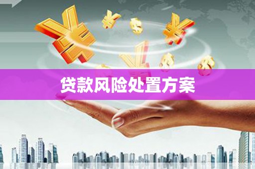 怀化贷款风险处置方案