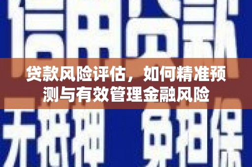怀化贷款风险评估，如何精准预测与有效管理金融风险