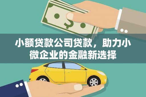 怀化小额贷款公司贷款，助力小微企业的金融新选择