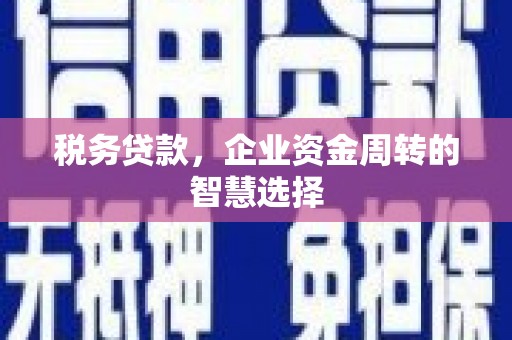 怀化税务贷款，企业资金周转的智慧选择