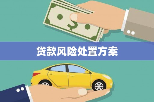 怀化贷款风险处置方案