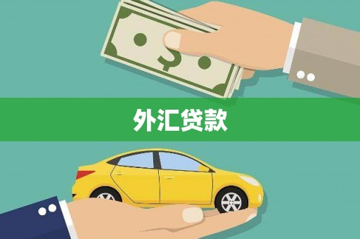 怀化外汇贷款