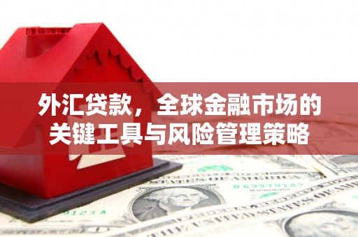 怀化外汇贷款，全球金融市场的关键工具与风险管理策略