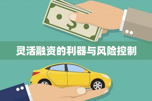 怀化灵活融资的利器与风险控制