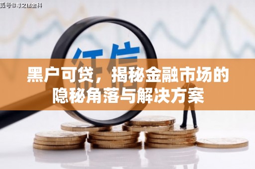 怀化黑户可贷，揭秘金融市场的隐秘角落与解决方案