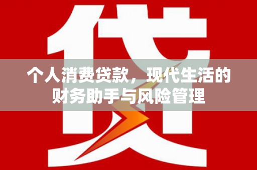 怀化个人消费贷款，现代生活的财务助手与风险管理