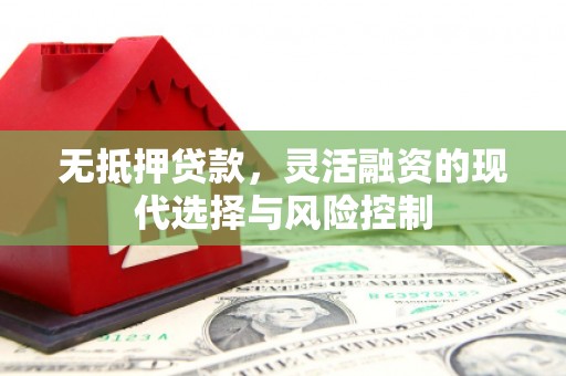 怀化无抵押贷款，灵活融资的现代选择与风险控制