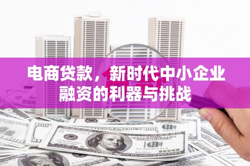 怀化电商贷款，新时代中小企业融资的利器与挑战