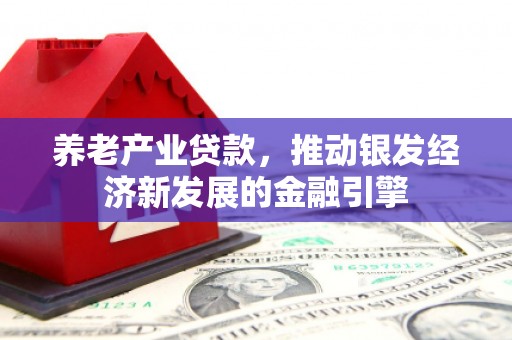 怀化养老产业贷款，推动银发经济新发展的金融引擎