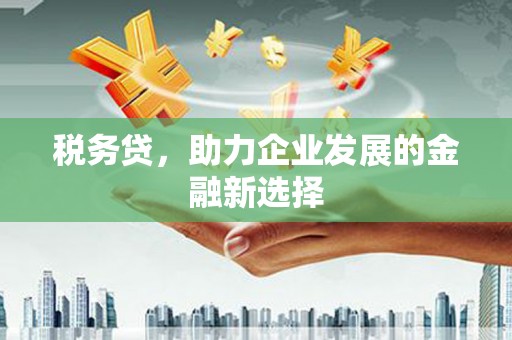 怀化税务贷，助力企业发展的金融新选择