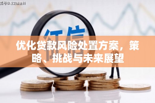怀化优化贷款风险处置方案，策略、挑战与未来展望