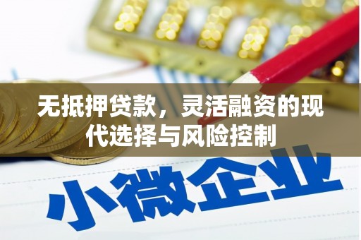 怀化无抵押贷款，灵活融资的现代选择与风险控制