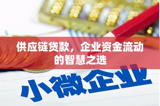 怀化供应链贷款，企业资金流动的智慧之选