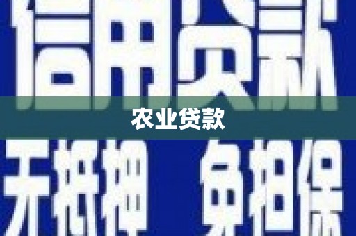 怀化农业贷款