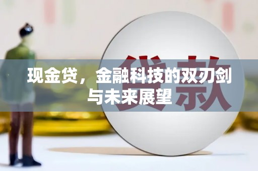 怀化现金贷，金融科技的双刃剑与未来展望