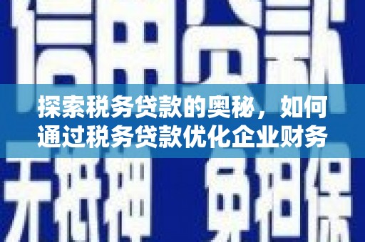 怀化探索税务贷款的奥秘，如何通过税务贷款优化企业财务