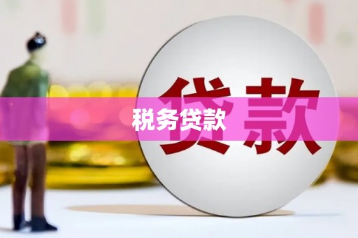 怀化税务贷款