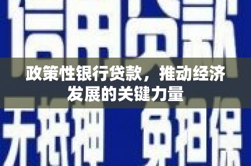怀化政策性银行贷款，推动经济发展的关键力量