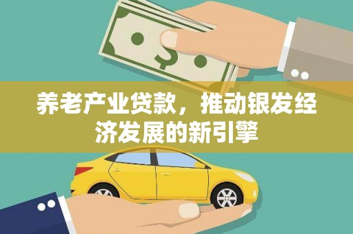 怀化养老产业贷款，推动银发经济发展的新引擎