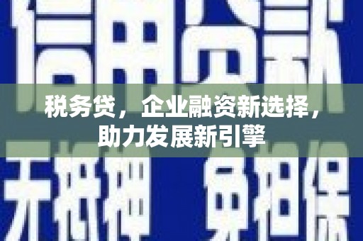 怀化税务贷，企业融资新选择，助力发展新引擎