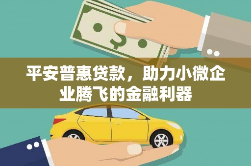 怀化平安普惠贷款，助力小微企业腾飞的金融利器