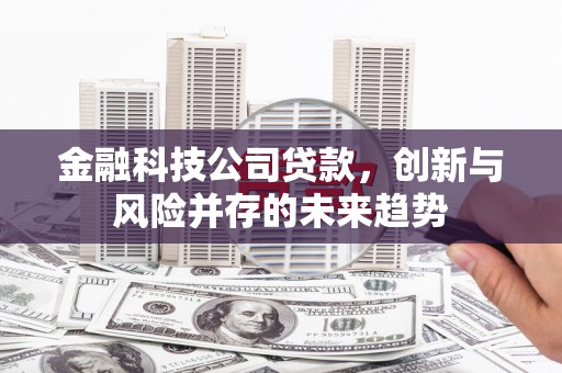 怀化金融科技公司贷款，创新与风险并存的未来趋势