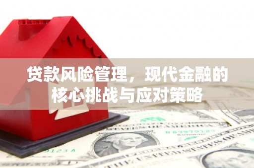 怀化贷款风险管理，现代金融的核心挑战与应对策略