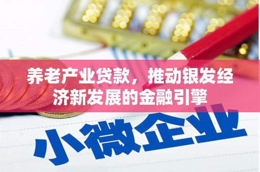 怀化养老产业贷款，推动银发经济新发展的金融引擎