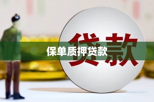 怀化保单质押贷款