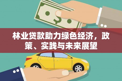 怀化林业贷款助力绿色经济，政策、实践与未来展望