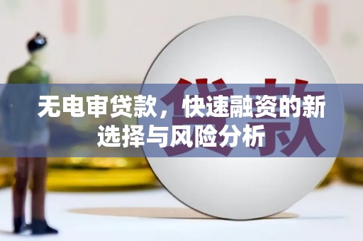 怀化无电审贷款，快速融资的新选择与风险分析