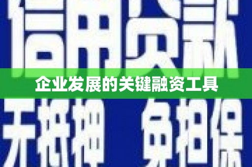 怀化企业发展的关键融资工具
