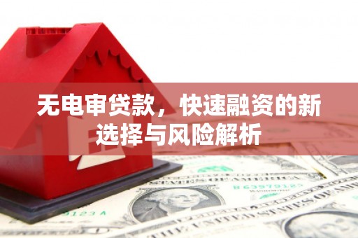 怀化无电审贷款，快速融资的新选择与风险解析