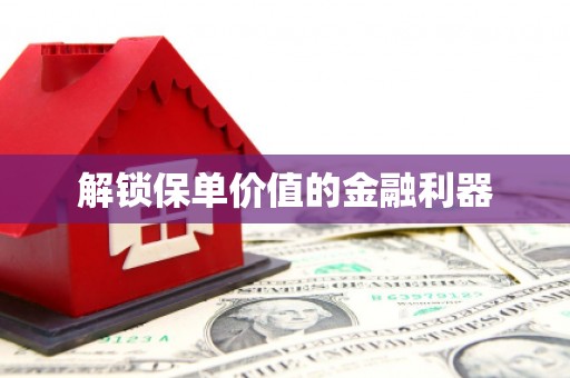怀化解锁保单价值的金融利器