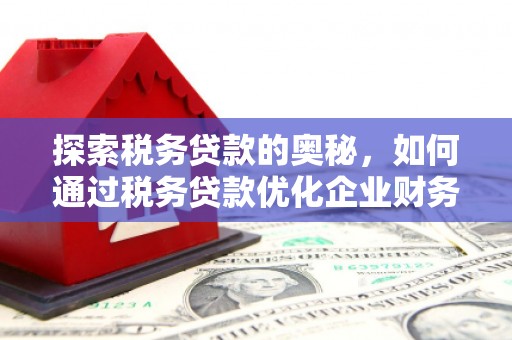 怀化探索税务贷款的奥秘，如何通过税务贷款优化企业财务
