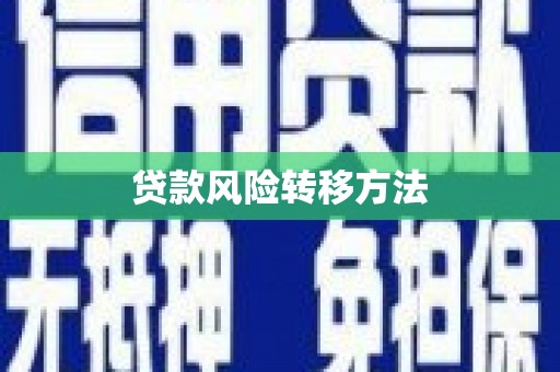 怀化贷款风险转移方法