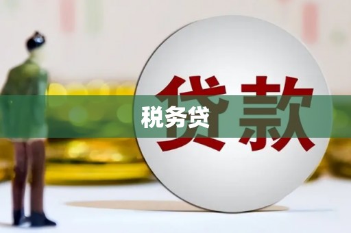 怀化税务贷